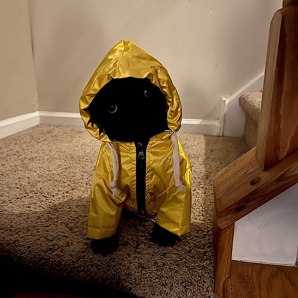 Puppy Raincoat
